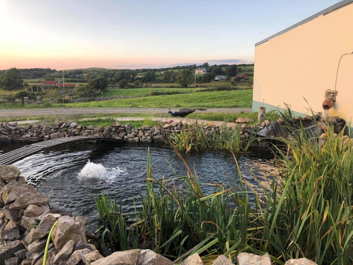 רוסנאולה Farm Stay Property Pets And Families Welcome מראה חיצוני תמונה