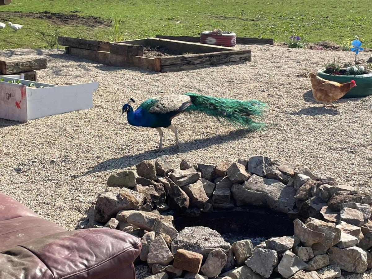 רוסנאולה Farm Stay Property Pets And Families Welcome מראה חיצוני תמונה
