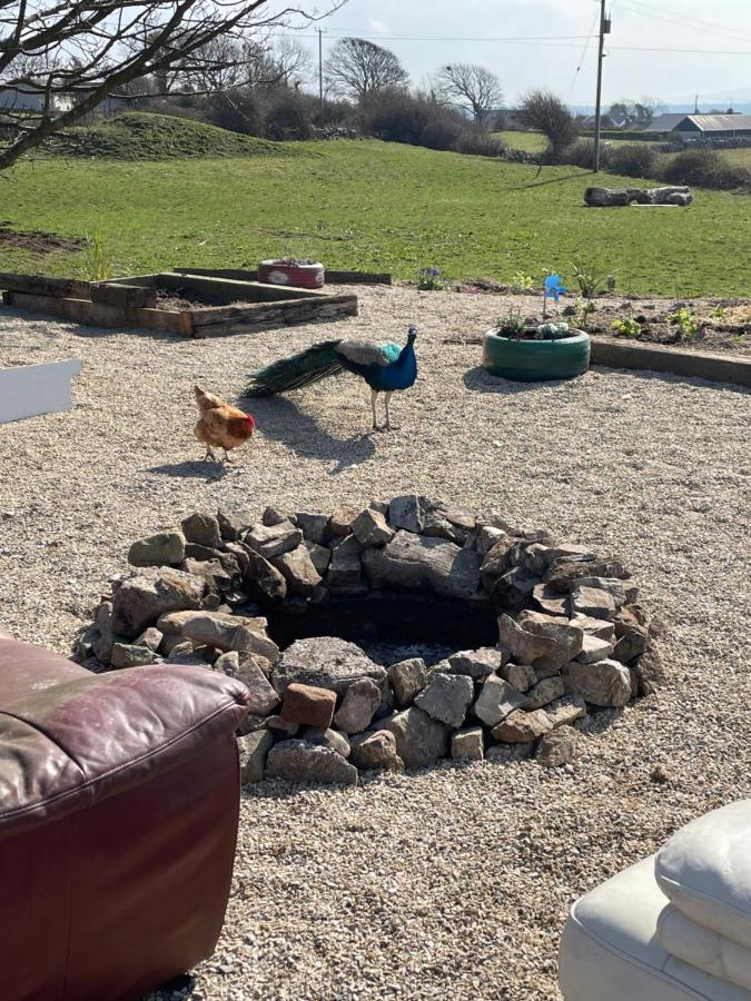 רוסנאולה Farm Stay Property Pets And Families Welcome מראה חיצוני תמונה